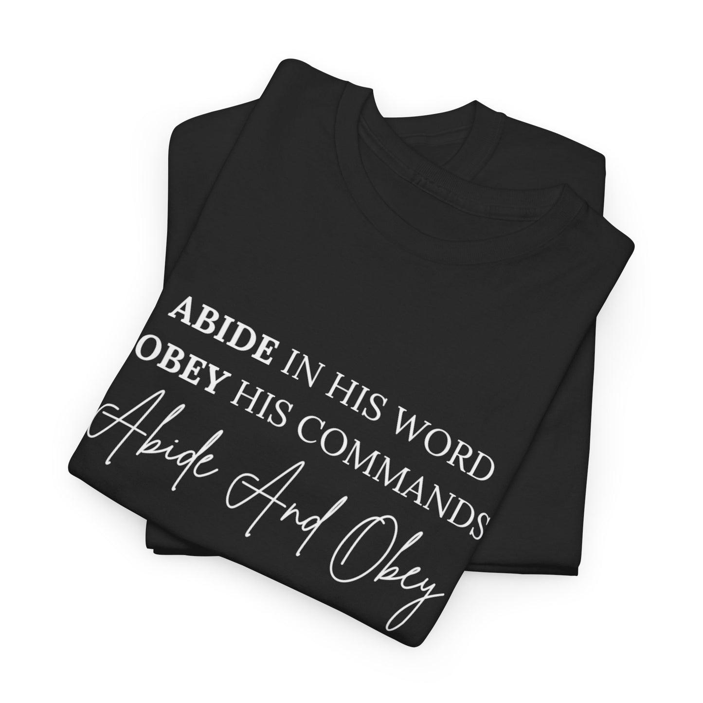 Heavy Cotton Tee - "Abide And Obey"