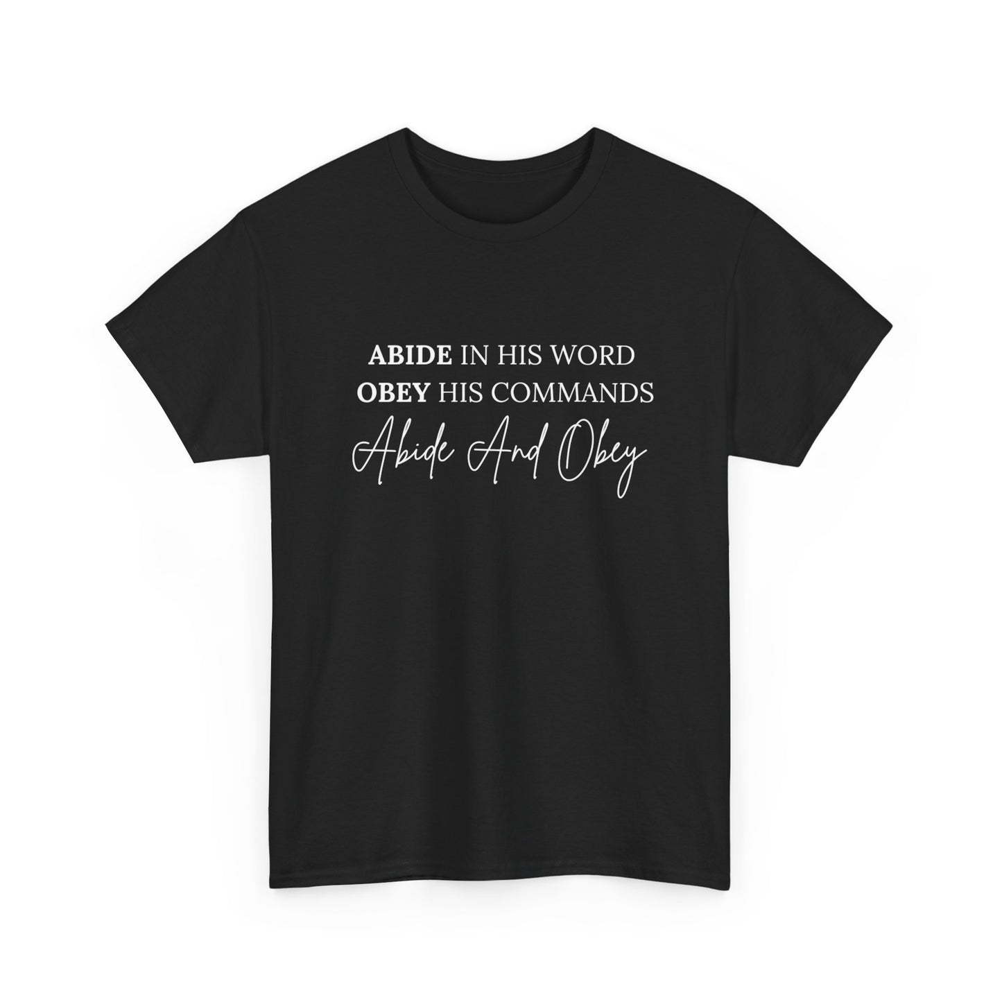 Heavy Cotton Tee - "Abide And Obey"